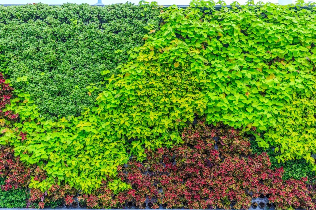 Follaje verde artificial: Diseño, durabilidad y bajo mantenimiento para transformar tus&nbsp;espacios